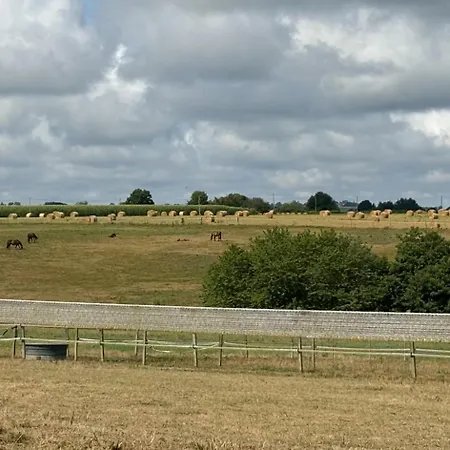 Charmante Maison Landaise *